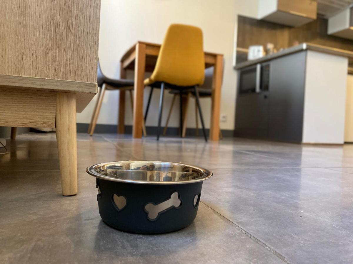 Exceptionnel ! Superbe Appartement Refait A Neuf En Rez-De-Chaussee Avec Parking Prive Castres  Bagian luar foto